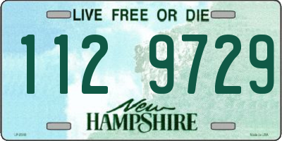 NH license plate 1129729