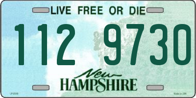 NH license plate 1129730