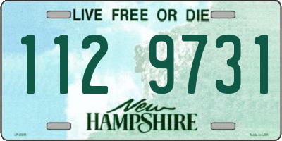 NH license plate 1129731