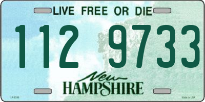 NH license plate 1129733