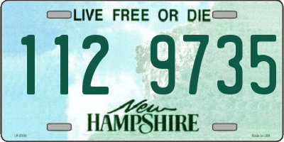 NH license plate 1129735