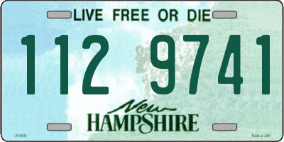 NH license plate 1129741