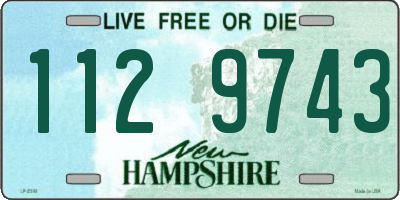 NH license plate 1129743