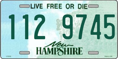 NH license plate 1129745