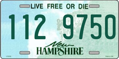 NH license plate 1129750