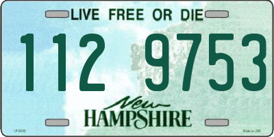 NH license plate 1129753