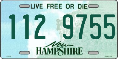 NH license plate 1129755