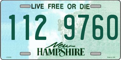 NH license plate 1129760