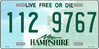 NH license plate 1129767