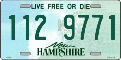 NH license plate 1129771