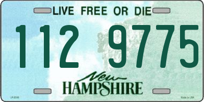 NH license plate 1129775