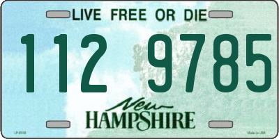 NH license plate 1129785