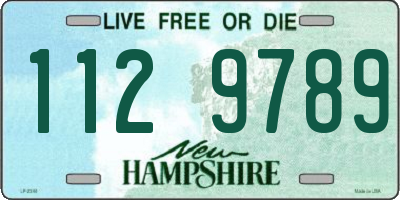 NH license plate 1129789