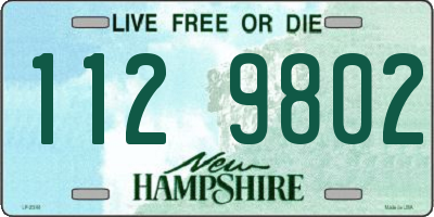 NH license plate 1129802