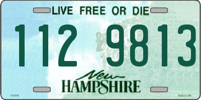 NH license plate 1129813