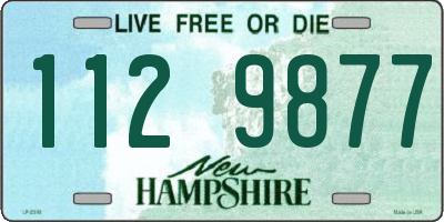 NH license plate 1129877