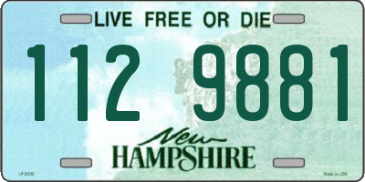 NH license plate 1129881