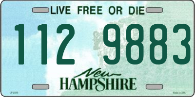 NH license plate 1129883