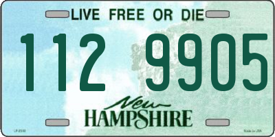 NH license plate 1129905