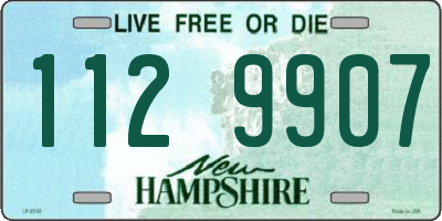 NH license plate 1129907