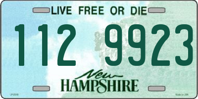 NH license plate 1129923