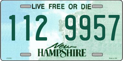 NH license plate 1129957