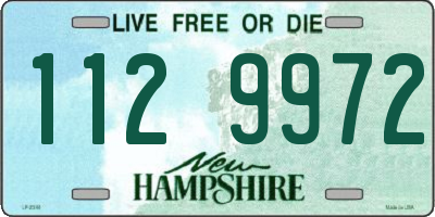 NH license plate 1129972
