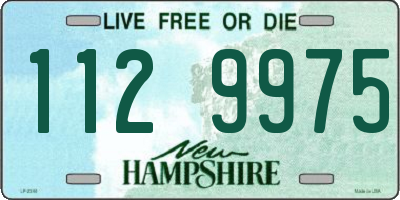 NH license plate 1129975