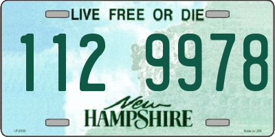 NH license plate 1129978