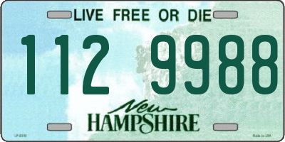 NH license plate 1129988