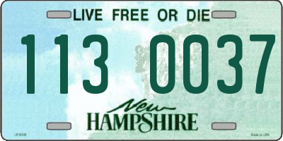 NH license plate 1130037