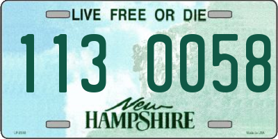 NH license plate 1130058
