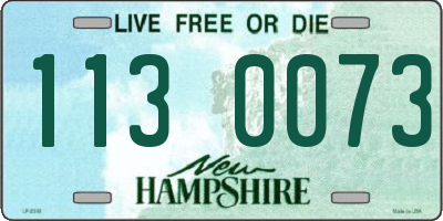 NH license plate 1130073