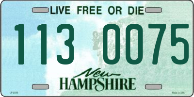 NH license plate 1130075