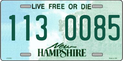 NH license plate 1130085