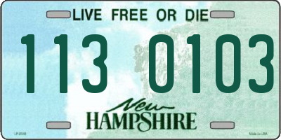 NH license plate 1130103