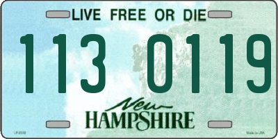 NH license plate 1130119