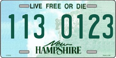 NH license plate 1130123