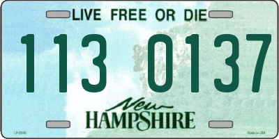 NH license plate 1130137