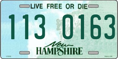 NH license plate 1130163