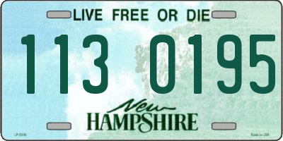 NH license plate 1130195