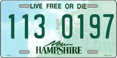 NH license plate 1130197