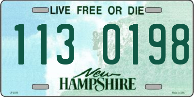 NH license plate 1130198