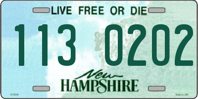 NH license plate 1130202