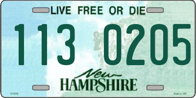 NH license plate 1130205