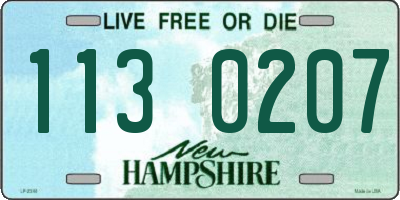NH license plate 1130207
