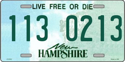 NH license plate 1130213