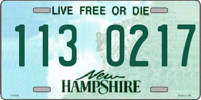 NH license plate 1130217