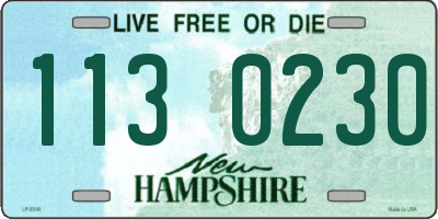 NH license plate 1130230