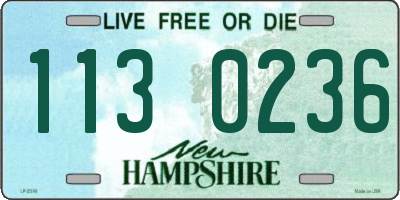 NH license plate 1130236